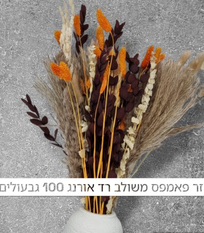 זר פאמפס משולב רד אורנג' 100 יחידות⁩