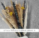 זר פאמפס משולב רד גרין 100 יחידות