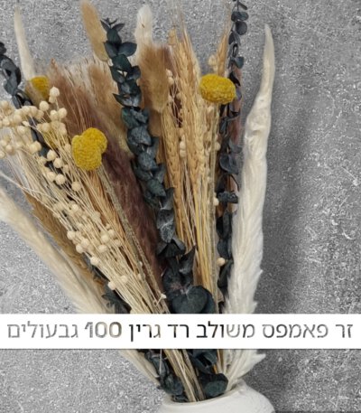 זר פאמפס משולב רד גרין 100 יחידות